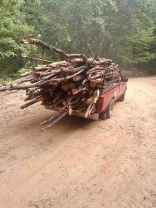 Συλλογή κατακείμενων ξύλων από δημότες του Δήμου Φλώρινας